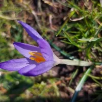 Hasi19