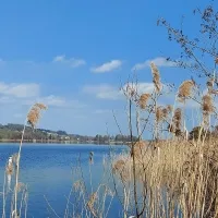 zepelin